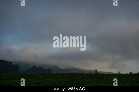 Stati Uniti - Giugno 19, 2019: nebbia si assesta lungo il breve collina montagna vicino alla città di Hillsboro. (Foto di Douglas Graham/WLP) Foto Stock