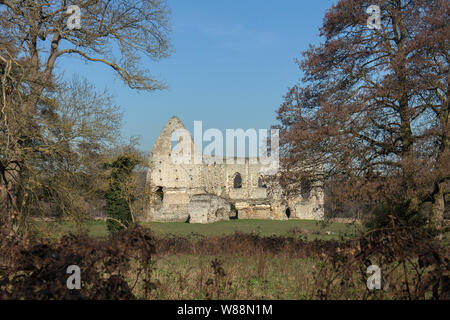 Newark Priory (rovina) dal fiume Wey vicino Pyrford, Surrey Foto Stock