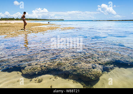 Coral reef in Taipu de Fora Beach, alla penisola di Marau. Marau, Bahia, Brasile. Foto Stock