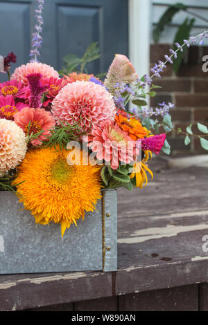 Disposizione del fiore nella casella Foto Stock