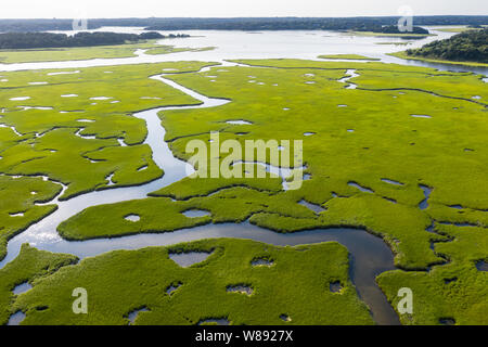 Un sano salt marsh cresce in piacevole sulla baia di Cape Cod, Massachusetts. Questo tipo di habitat marino serve come un vivaio di pesci e invertebrati. Foto Stock