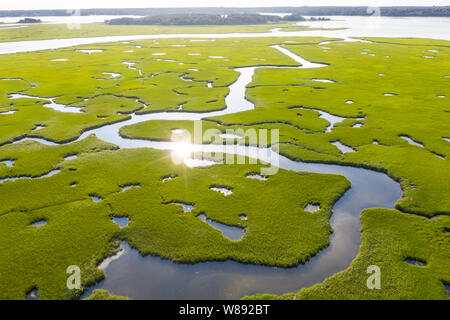 Un sano salt marsh cresce in piacevole sulla baia di Cape Cod, Massachusetts. Questo tipo di habitat marino serve come un vivaio di pesci e invertebrati. Foto Stock