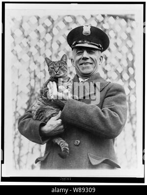 Tige la Casa Bianca cat e pet della signora Coolidge è stato restituito Foto Stock