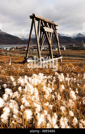 Abbandonate le strutture di data mining dot il terreno attorno a Longyearbyen, Spitsbergen, circondato da artico erba di cotone. Foto Stock