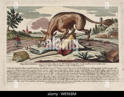 La bestia del Gévaudan (1764-1767) Foto Stock