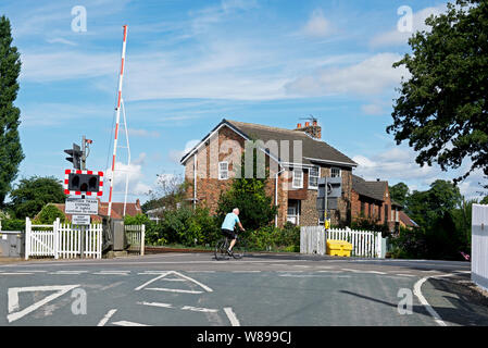 Ciclista a cavallo su passaggio a livello Wressle, vicino a Howden, East Yorkshire, Inghilterra, Regno Unito Foto Stock