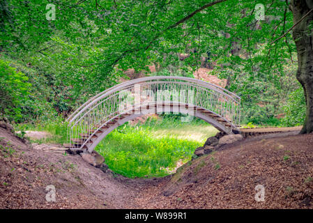 Ponte di azalee e rododendri Park in Kromlau Foto Stock
