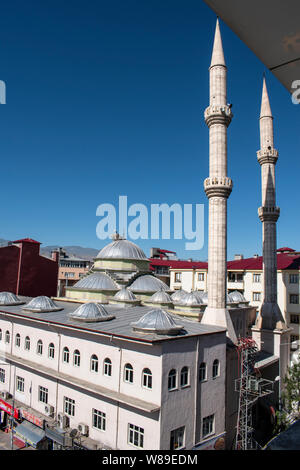 Una cicogna con i suoi cuccioli e il nido sulla cupola di una moschea nella città di Igdir, capitale della provincia Igdır in Anatolia orientale regione della Turchia Foto Stock
