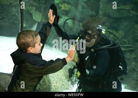 Stati Uniti Navy Senior Chief Petty Officer Jason scintille comunica con un giovane patron presso Henry Doorly Zoo di Omaha, Neb., su agosto 26, 2009. I membri dell'eliminazione degli ordigni esplosivi funzionamento unità di supporto 10 ha preso trasforma le immersioni nel zoo acquario per tutto il giorno come parte di Omaha Navy gli eventi della settimana. Navy settimane sono progettati per mostrare gli americani gli investimenti che hanno fatto nel loro marina e aumentare la consapevolezza in città che non hanno una significativa presenza della Marina. Foto Stock