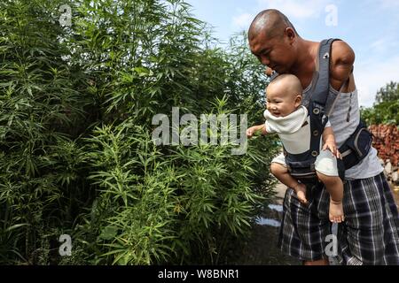 (190809) -- CHANGTU, e il Agosto 9, 2019 (Xinhua) -- Wang pista prende il suo figlio Rourou per passeggiare a Hexi villaggio di Liangjiazi Township, Changtu contea di Tieling città, a nord-est della Cina di Provincia di Liaoning, e il Agosto 8, 2019. Wang Gang, un 33-anno-vecchio abitante di Hexi villaggio della provincia di Liaoning, ha perso le sue braccia a causa di un accidentale scosse elettriche all'età di 13. Dopo anni di duro pratiche con i suoi piedi, egli non solo è in grado di prendersi cura di se stesso ma anche di fare alcune semplici faccende di casa e si prende cura dei suoi malati madre. Wang pista sono sposata con lui Xiaoman quattro anni fa e hanno avuto il loro figlio Rourou nel mese di ottobre Foto Stock