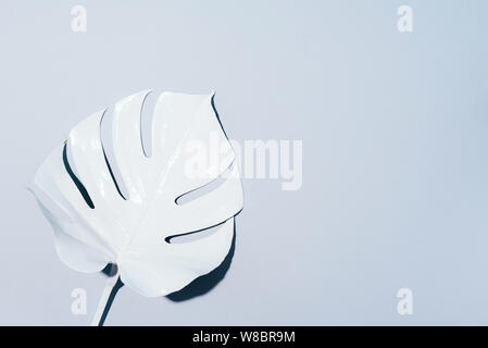 Dipinto di bianco di monstera foglia tropicale su sfondo grigio. In estate la minima nozione Foto Stock