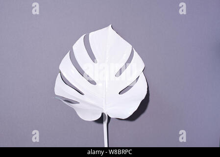 Composizione di estate. Bianco palme tropicali foglie su sfondo grigio. Concetto di estate. Appartamento laico, vista dall'alto, copia dello spazio. Foto Stock