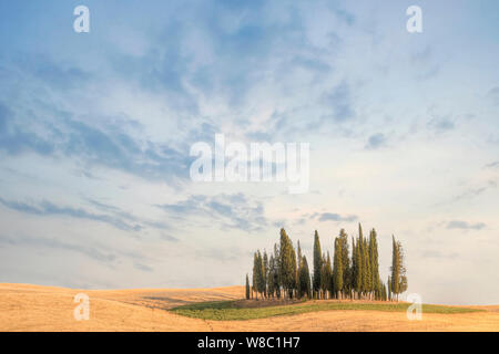 San Quirico, Toscana, Italia, Europa Foto Stock