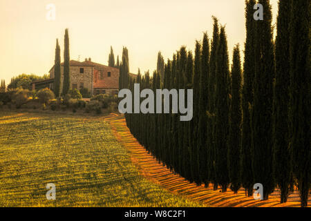 San Qurico, Toscana, Italia, Europa Foto Stock