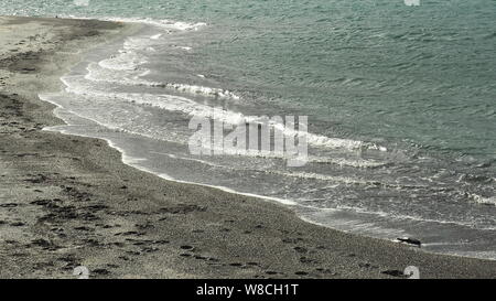 Nuova Zelanda grintoso grigio sabbia spiaggia con baby surf Foto Stock