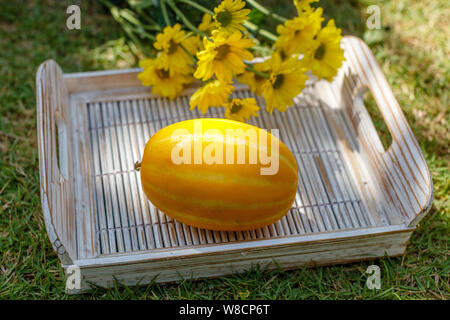 Giallo melone orientali (Coreano melone) su un bianco vassoio in legno Crisantemo giallo sullo sfondo. Foto Stock