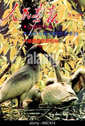 Questo coperchio della Cina rilasciati pittorico nel settembre 1996 dispone di crested ibis. Foto Stock