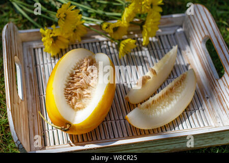 Tagliare giallo melone orientali (Coreano melone) su un bianco vassoio in legno Crisantemo giallo sullo sfondo. Foto Stock