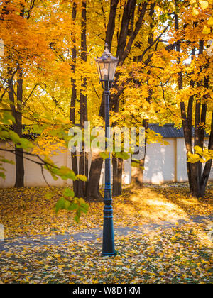 Giallo arancio foglie di acero in autunno park . Bellissimo sfondo d'autunno. Lonely lanterna personale in autunno square Foto Stock