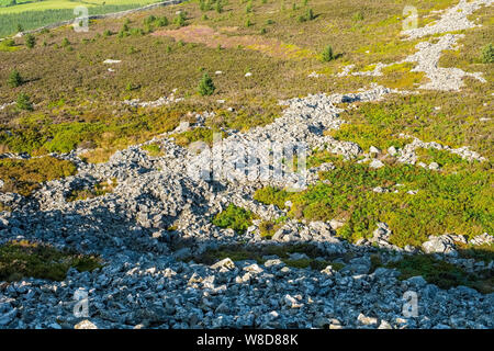 Resti di età del ferro hill fort il Carn Fadryn sul Lleyn ( Llyn) penisola in Gwynnedd , il Galles del Nord Foto Stock