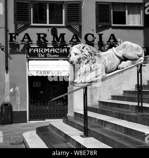 Genova (Genova), Italia - Luglio 06, 2019: vecchia farmacia e leone in marmo sulla scalinata della Cattedrale di San Lorenzo a Genova. Immagine in bianco e nero - piazzali Foto Stock