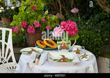 Jenny Mein giamaicano della collezione ackee sul tavolo in giardino Foto Stock