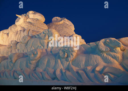 Vista notturna delle sculture di neve alla XXXI Harbin International Ice e Snow Festival di Harbin city, a nord-est della Cina di Provincia di Heilongjiang, 5 Januar Foto Stock