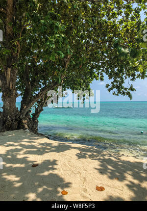Albero sulla spiaggia con le barche in mare al giorno di sole su Fehendhoo isola, Maldive Foto Stock