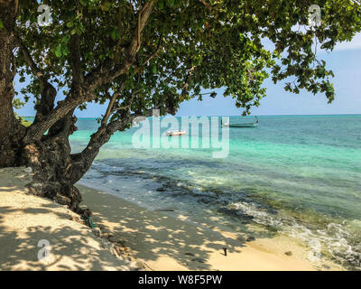 Albero sulla spiaggia con le barche in mare al giorno di sole su Fehendhoo isola, Maldive Foto Stock