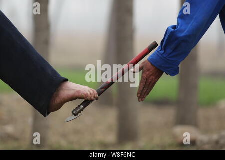 Senza Braccioli uomo cinese Jia Wenqi, sinistra, utilizza il piede per passare un reaphook al suo amico cieco Jia Haixia nel villaggio di Yeli, Jingxing county, Shijiazhuang ci Foto Stock