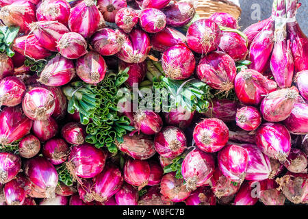Cipolla rossa venduti su Tropea le strade come specialità della regione Calabria, Italia Foto Stock