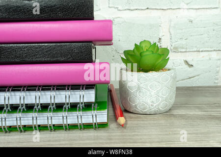 Torna a scuola con il concetto di pila di libri e di pianta in vaso contro un bianco muro di mattoni con libero spazio di copia Foto Stock