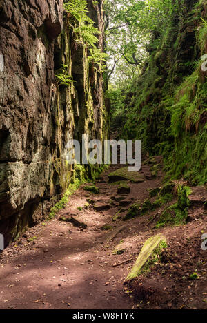 Lud chiesa della voragine del sir Gawain e il cavaliere verde fama presso il roaches, nel Parco Nazionale di Peak District, UK. Foto Stock