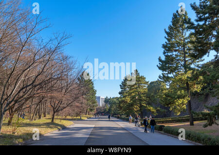 I Giardini Est del Palazzo Imperiale, Tokyo, Giappone Foto Stock