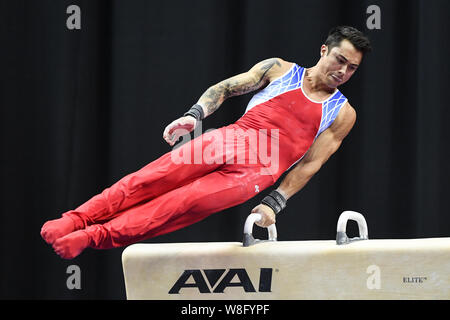 Kansas City, Missouri, Stati Uniti d'America. 8 Ago, 2019. SEAN MELTON compete sul cavallo durante la prima giornata di gara svoltasi presso il Centro Sprint, Kansas City, Missouri. Credito: Amy Sanderson/ZUMA filo/Alamy Live News Foto Stock