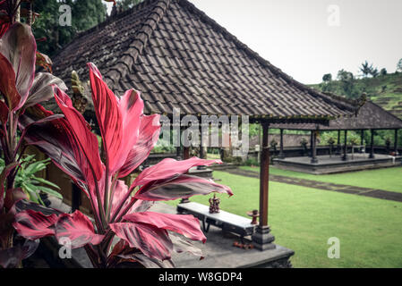 Pura Luhur Batukau Batukaru tempio indù di Tabanan, Bali, Indonesia. Situato sul versante sud del monte Batukaru, Tabanan, Bali Indonesia. Foto Stock