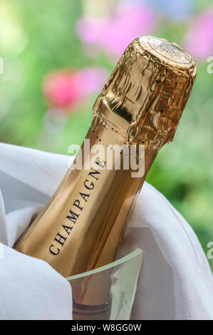 Bottiglia di Champagne su ghiaccio in crystal wine cooler nel tardo pomeriggio di luce di lusso alfresco picnic estivo situazione di eventi Foto Stock