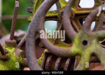 Rusty, mossy e ferro invecchiato marcia da un pezzo vintage di attrezzature agricole vicino a distanza macro. La Bright Green moss si distingue fortemente contro il Foto Stock