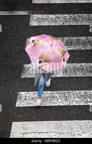 Scena di una donna con ombrello carino con i cani che attraversa il marciapiede. Vista dall'alto. Rainy day concept Foto Stock