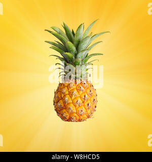 Fresche e mature ananas intero fruite su sfondo giallo Foto Stock