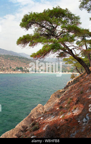 Sul pine-placcati penisola all Alykí, guardando indietro fino la baia occidentale al villaggio, Thassos, Grecia Foto Stock