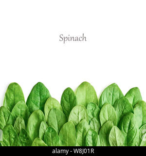 Confine da foglie di spinaci isolati su sfondo bianco Foto Stock
