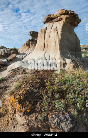 Badlands nel Parco Provinciale dei Dinosauri, Alberta, Canada Foto Stock