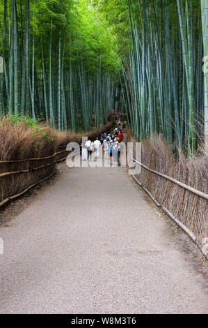 Arashiyama Boschetto di bambù noto anche come Sagano Foreste di bambù, situato nella parte occidentale di Kyoto, Giappone. Foto Stock