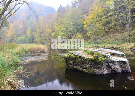Il Kamp river, uno degli ultimi a scorrimento libero principali ecosistemi acquatici in Austria, in mezzo naturale di primordiale come la foresta in autunno. Foto Stock