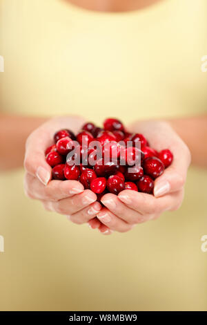 Ripe rosso frutta mirtillo palustre di concetto. Primo piano delle donne a tazza tenendo le mani molti di mirtilli rossi freschi. Adulto di sesso femminile che mostra una manciata di bacche Mirtilli rossi in studio. Cibo sano frutta dieta. Foto Stock