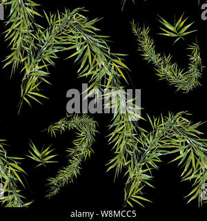 Illustrazione ad acquerello di foglie di bambù , seamless pattern su sfondo scuro Foto Stock