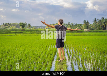 Turismo a maschio con uno zaino va sul campo di riso Foto Stock