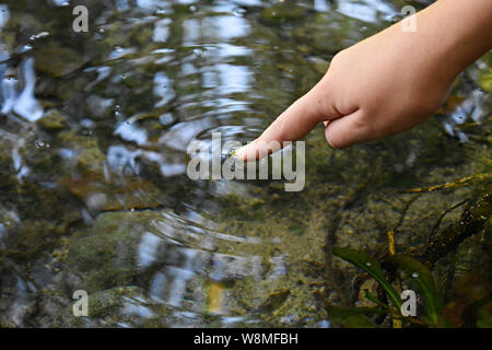 Primo piano della donna dito toccando crystal clear superficie del fiume-acqua/ immagine concettuale di ecologia Foto Stock