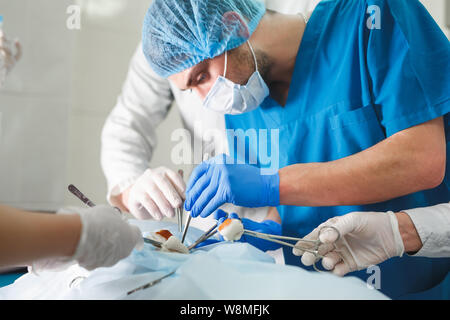 Gruppo di chirurghi al lavoro che operano in sala operatoria. Medicina di rianimazione team indossando maschere di protezione tenendo in acciaio strumenti medici Foto Stock
